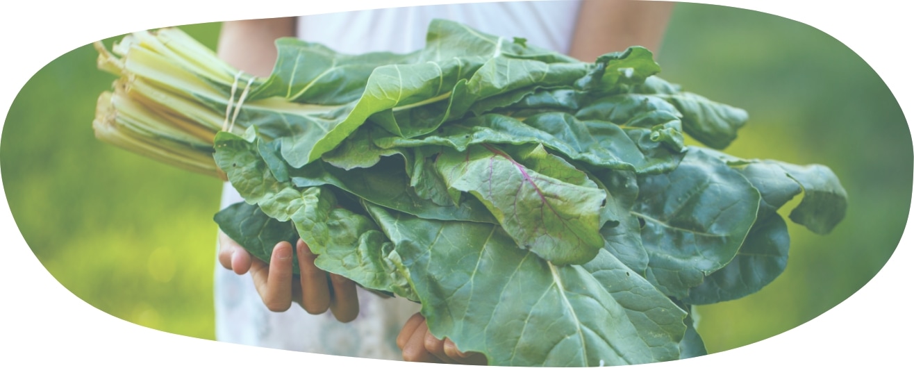 niña cogiendo verduras